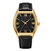 Montre Vega
