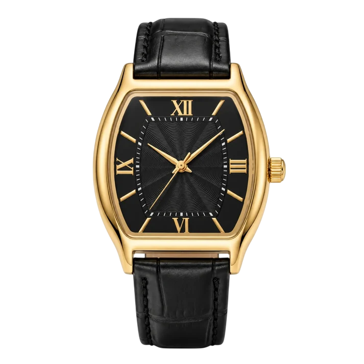 Montre Vega