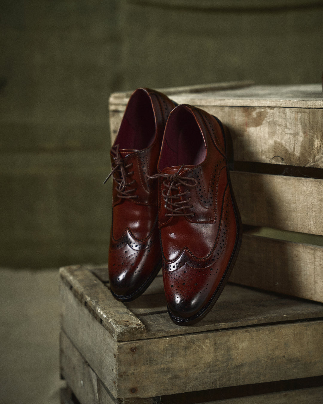 Brogues en Cuir de Vache 100% Pembroke